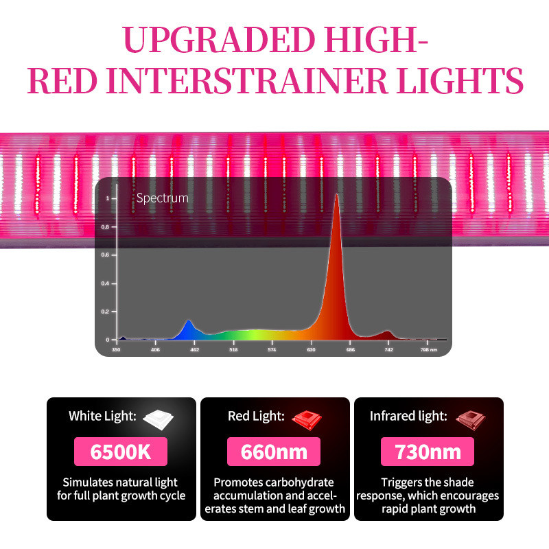 5-Year Warranty Customizable Dimmable Hydroponic Rack Deep Red Full Spectrum 4ft 120W/150W Under Canopy LED Grow Light for Bloom