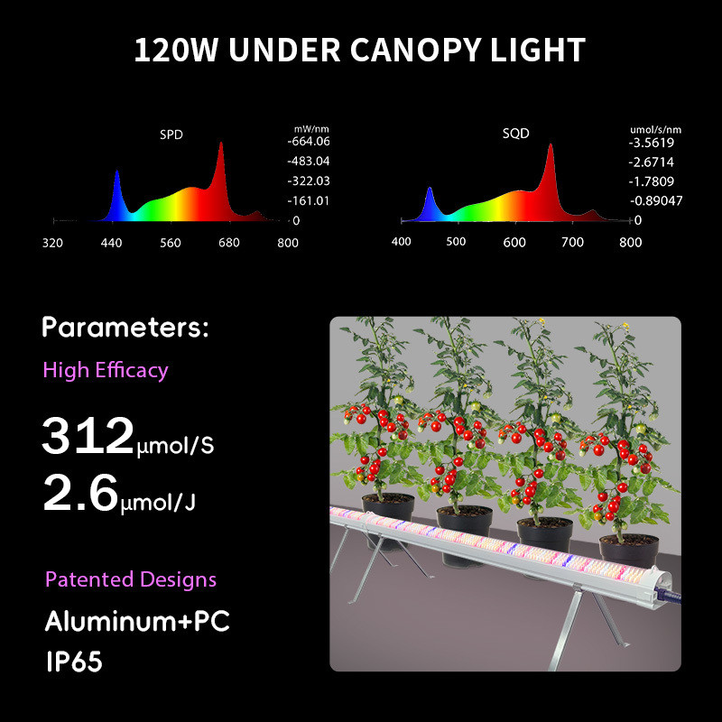 Customized Full Spectrum Dimmable 120W 150W 4Ft Grow Light Under Inter Canopy LED for Micro-green