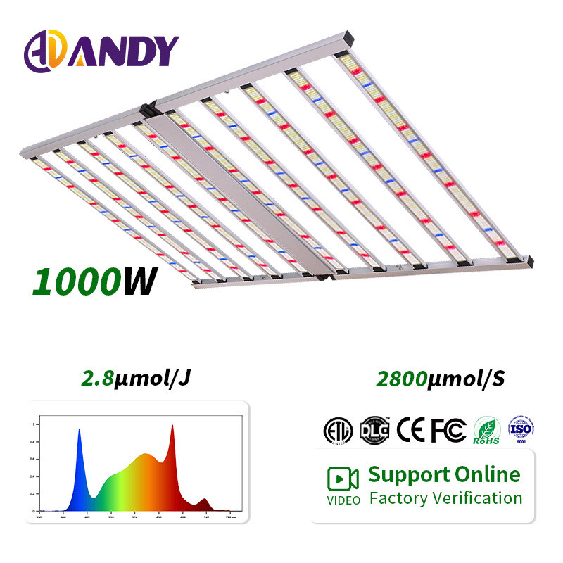 Full Spectrum 1000W LED Grow Light Commercial Tomato 4X6FT Plant Light Samsung Lm281B Hydroponic for Indoor Plant