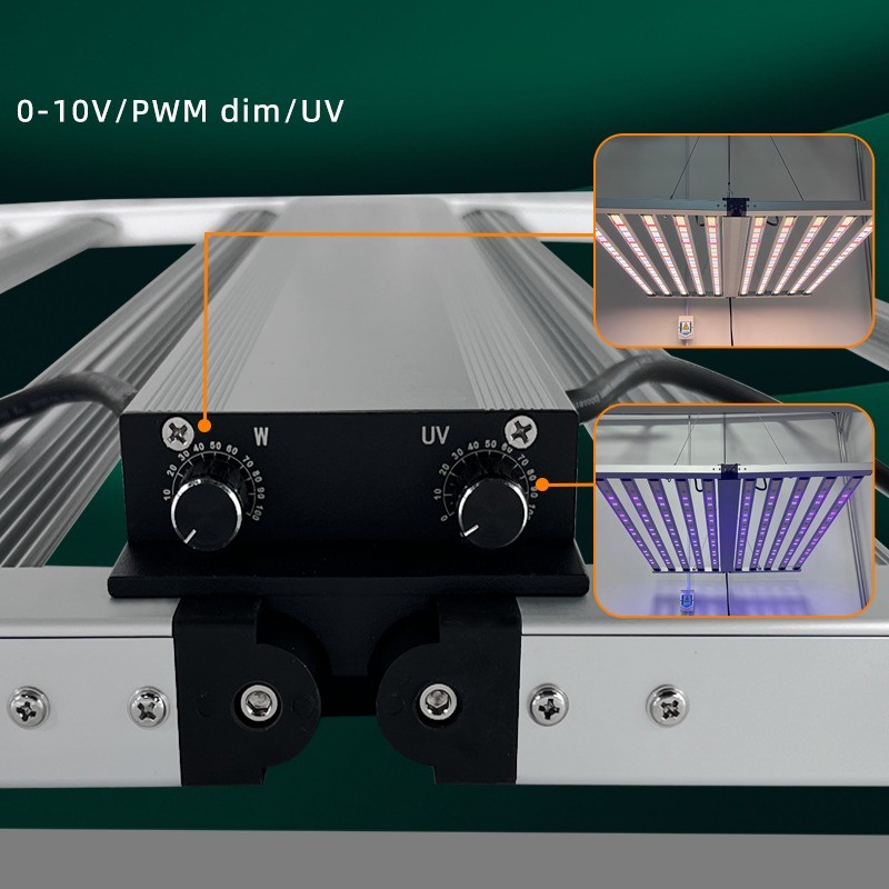 Wholesale Samsung Lm301H EVO Lm281B 10 Bar 4*4 4*6ft Full Spectrum LED Plant Grow Light 1000W with UV IR