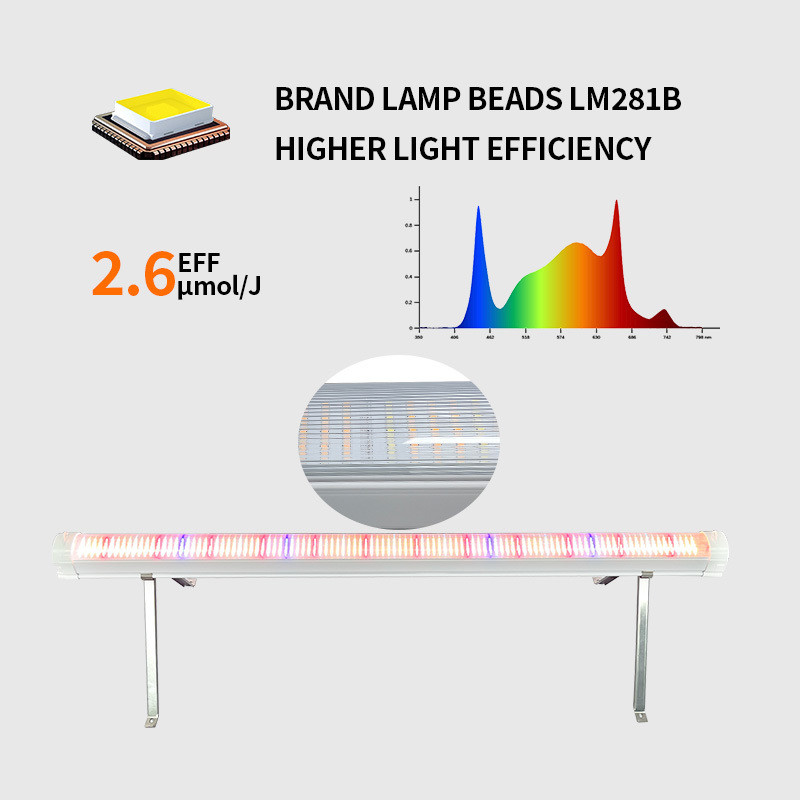 Professional Hydroponic Vertical Farm Full Spectrum 100 Watt 120W  Inter Under Canopy Led Grow Light with Samsung Chips