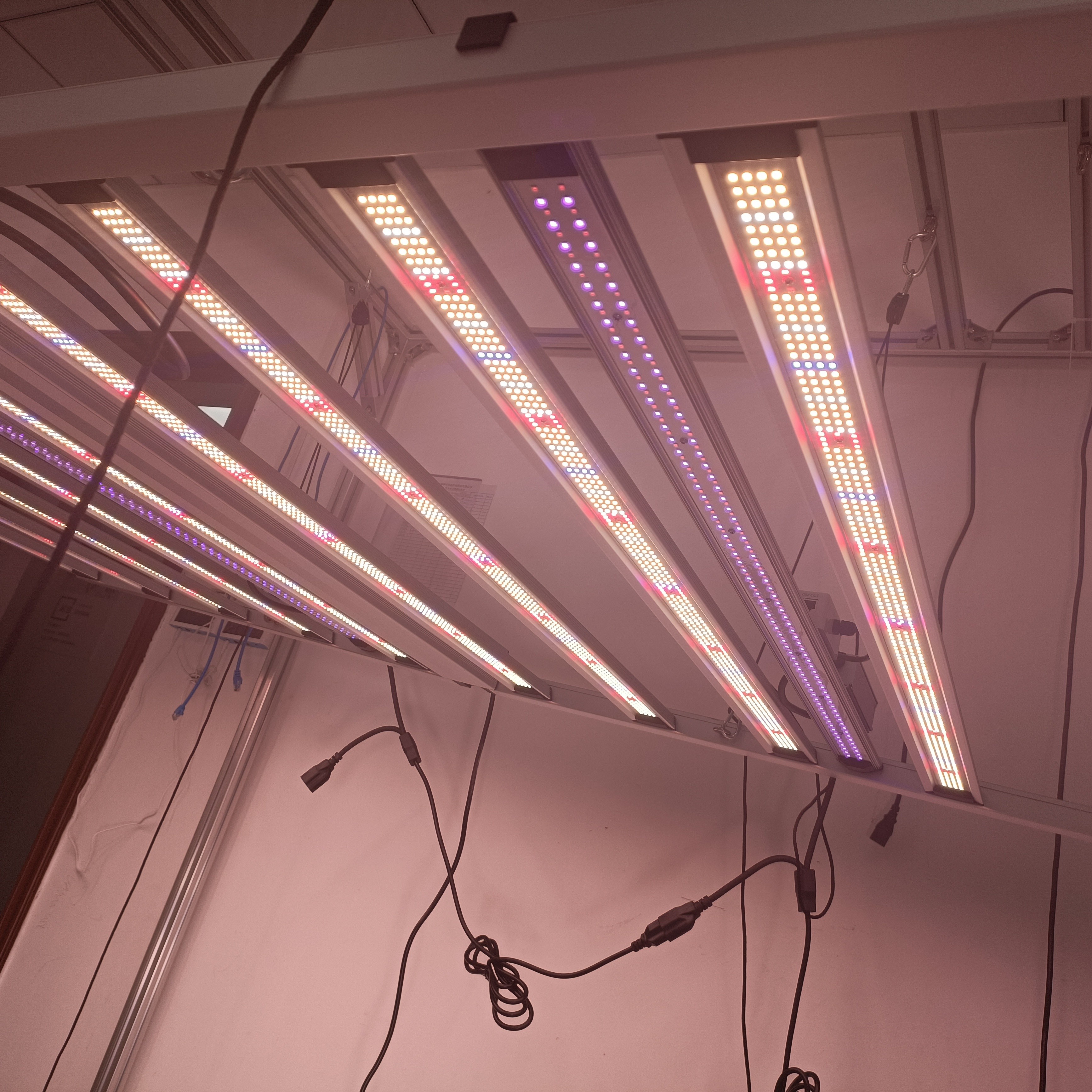 Dimmable UV IR Deep Red LED Grow Lights 50W 100W LED Supplemental Greenhouse Lighting