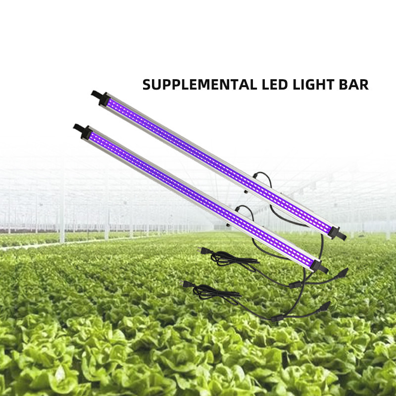 Dimmable UV IR Deep Red LED Grow Lights 50W 100W LED Supplemental Greenhouse Lighting