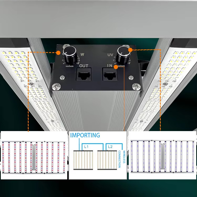 ANDY Two Channels 1300W Full Spectrum UV 12 Bar LED Grow Light for Commercial Hydroponics Plants CE RoHS FCC ETL DLC