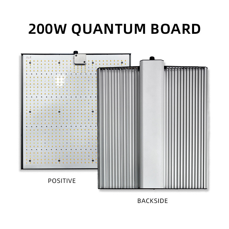 Daisy Chain LED Board Grow Lights , QB LED Grow Lights 300W 200W 100W