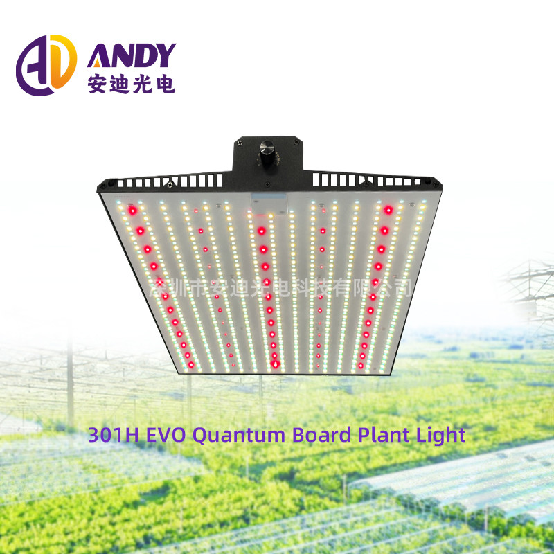 Full Spectrum Indoor Plant Grow Light 2x2ft 3x3ft LED Grow Light