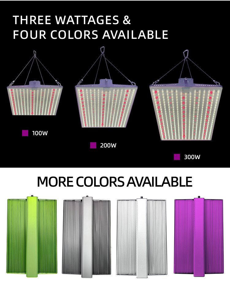 Full Spectrum Indoor Plant Grow Light 2x2ft 3x3ft LED Grow Light