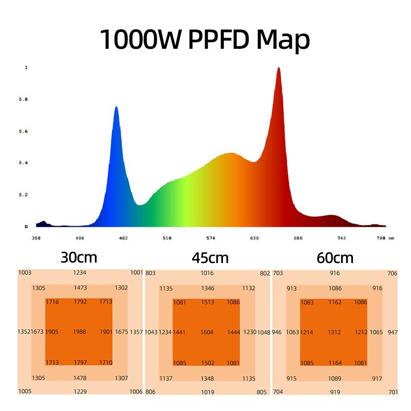 ANDY 4×6FT 1000W Led Grow Light Full Spectrum  Hydroponic Plant Lamp Dimmable SAMSUNG Lm301h Evo Lm281b for Tomato Tequila Veg