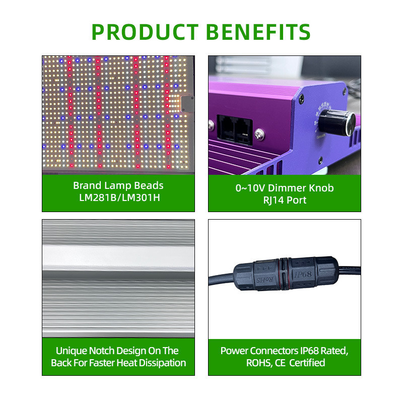 300 Watt Quantum Board Grow Light Full Spectrum LED Panel Grow Light