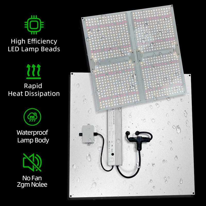 High PPFD Grow Lights 100W 200W 400W 600W Full Spectrum LED Light Panel For Plant Growth