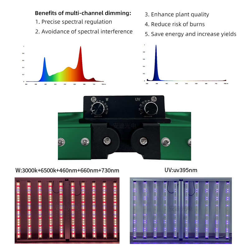 Commercial Hydroponic Full Spectrum 4x6ft 10 Bar Dual-channel UV 1100W LED Grow Lights with SAMSUNG LM301H EVO LM281B Chips