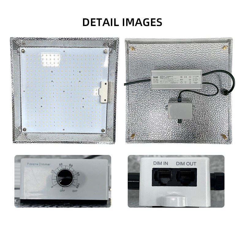 ANDY Quantum Board Grow Light 100W 150W 300w Full Spectrum LED Grow Light
