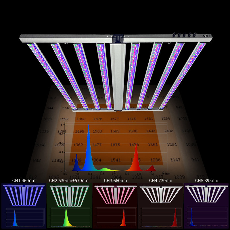 Horticultural Plant Light SAMSUNG LM301H LM281B Chips Five-channel Dim Full Spectrum Green Blue Red 8 Bar 800W LED Grow Lights