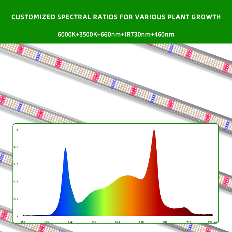 ANDY Full Spectrum 1000W Grow Light LED SAMSUNG LM301H LM281B EVO 10 Bar 4x4ft 4x6ft Commercial Horticulture