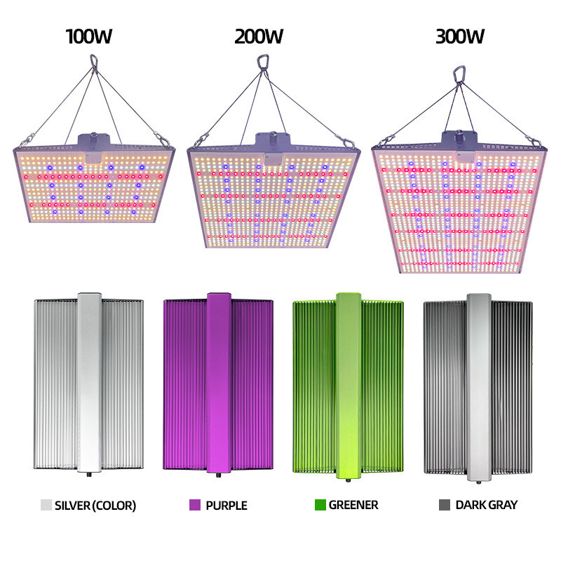 Dimmable LED Grow Light Quantum Board 100W 200W 300W For Household Cultivation
