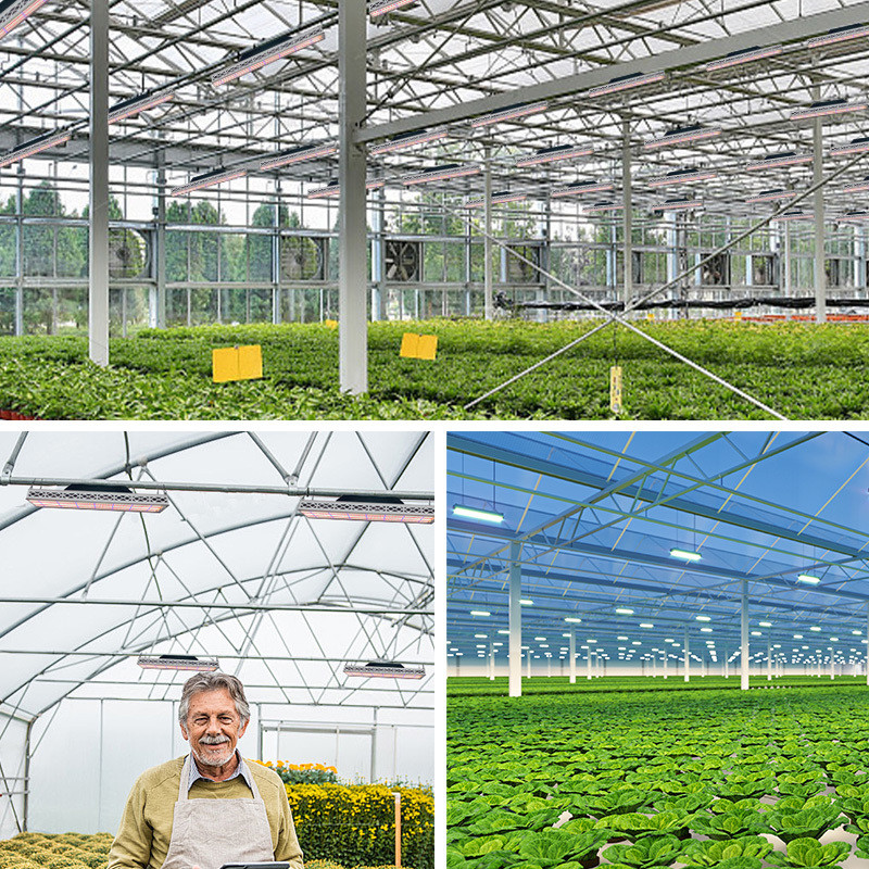 Greenhouse Linear Grow Light 640 Watt LED Grow Light Full Specrum For Soccer Stadium