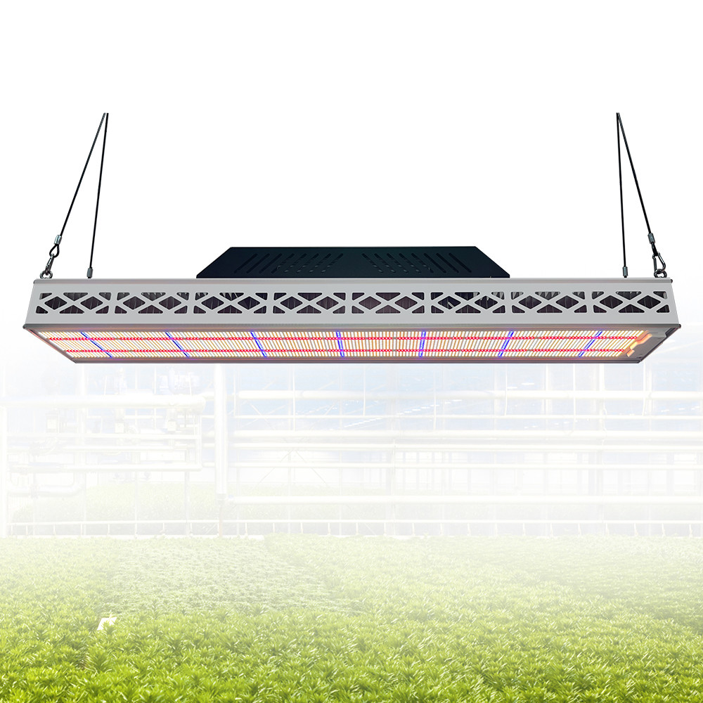 Soccer Field Sports Top LED Grow Lights Customized 640W LED Grow Light Waterproof IP67