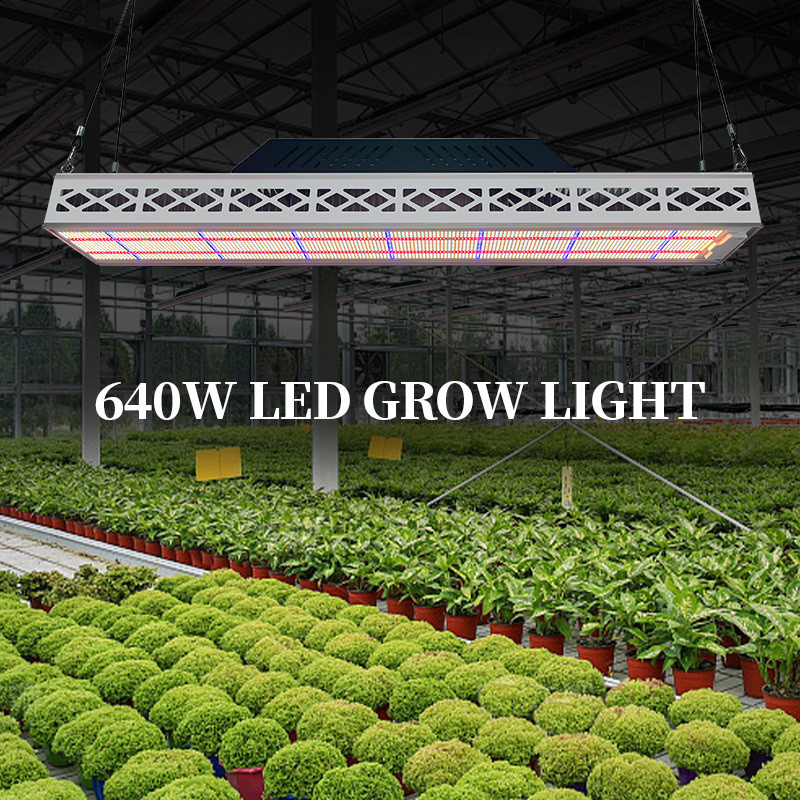 Soccer Field Sports Top LED Grow Lights Customized 640W LED Grow Light Waterproof IP67