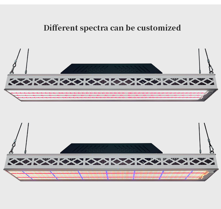 High PPFD LED Grow Light Full Specrum 640W Linear LED Grow Light