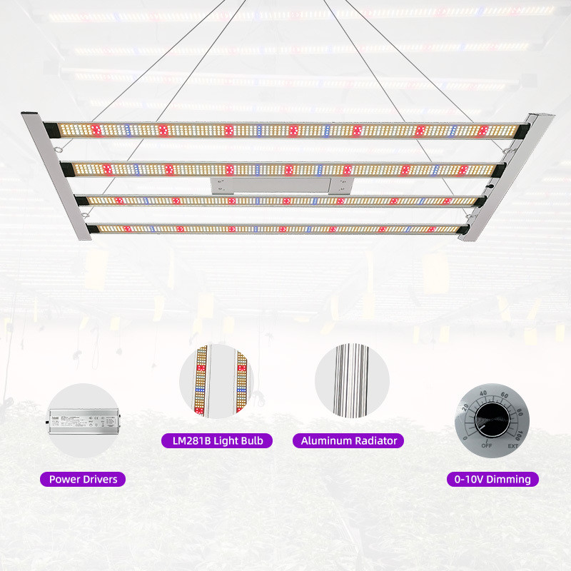 Full Spectrum 400W LED Grow Lighting Wholesale High PPFD Indoor Grow Light Bar Style Samsung Lm301h Evo for Hydroponics