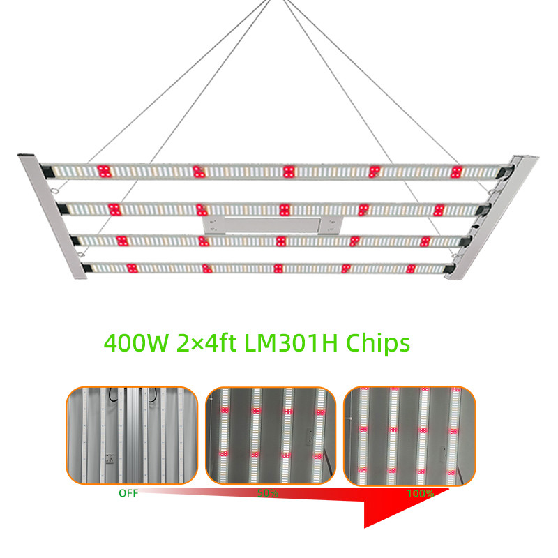 LM301H 400W Commercial Full Spectrum LED Plant Grow Light Wholesale SAMSUNG White Red 2*4ft 300W 400W 4 Bar for Indoor Flower
