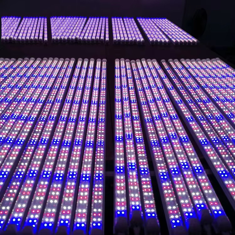 White LED Grow Light 6500K 5000k 460nm 660nm 3FT 4FT T8 LED Tube Lights For Growing Plants