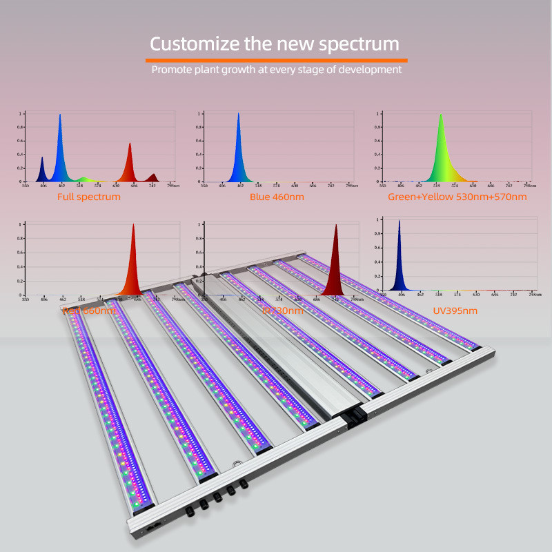 8 Bar 800W Five Channels UV IR Green Dimming Samsung LM301H LM281B Chips Full Spectrum LED Plant Grow Lights for Horticultural