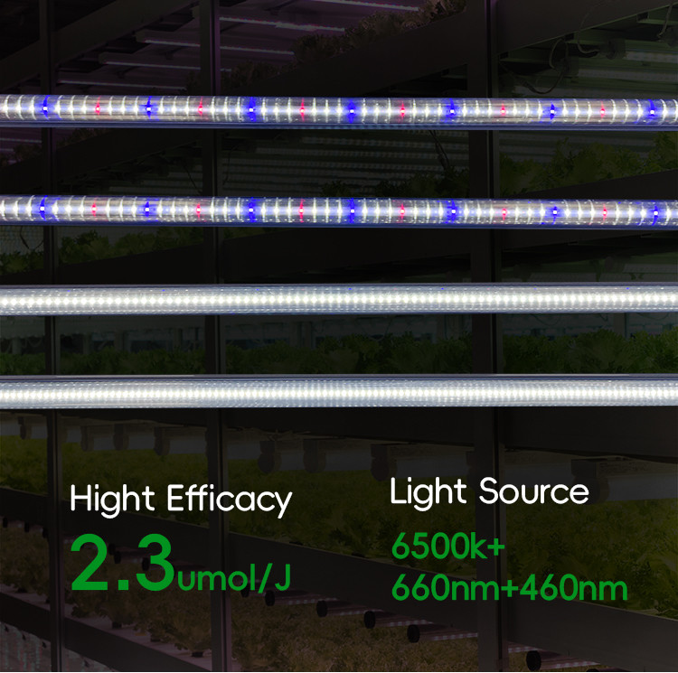 Vertical Greenhouse Farming LED Grow Light Tubes 220V T8 T10 T12 4FT 18W 25W 36W 48W For Veg Bloom