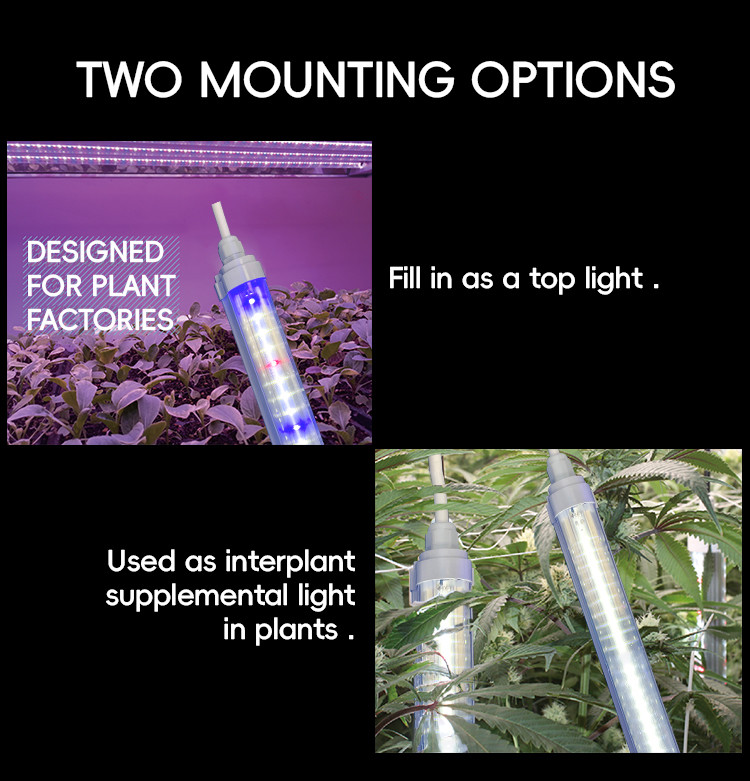 Vertical Greenhouse Farming LED Grow Light Tubes 220V T8 T10 T12 4FT 18W 25W 36W 48W For Veg Bloom