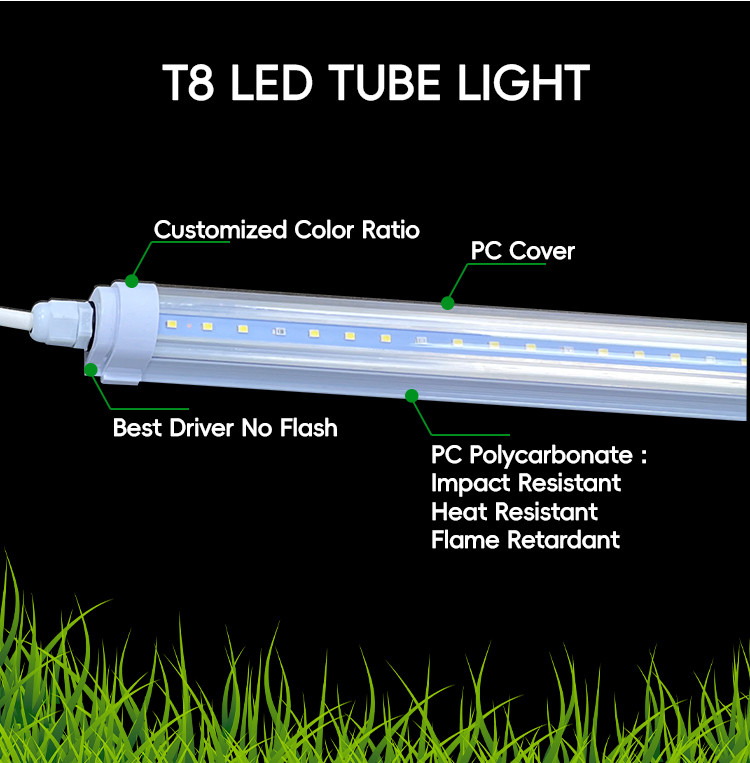 Vertical Greenhouse Farming LED Grow Light Tubes 220V T8 T10 T12 4FT 18W 25W 36W 48W For Veg Bloom