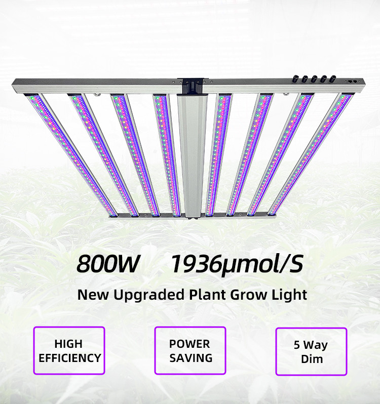 Five-way Dim Samsung LM301H Plant Lighting Full Spectrum 8 Bar 800W LED Grow Lights for Horticultural