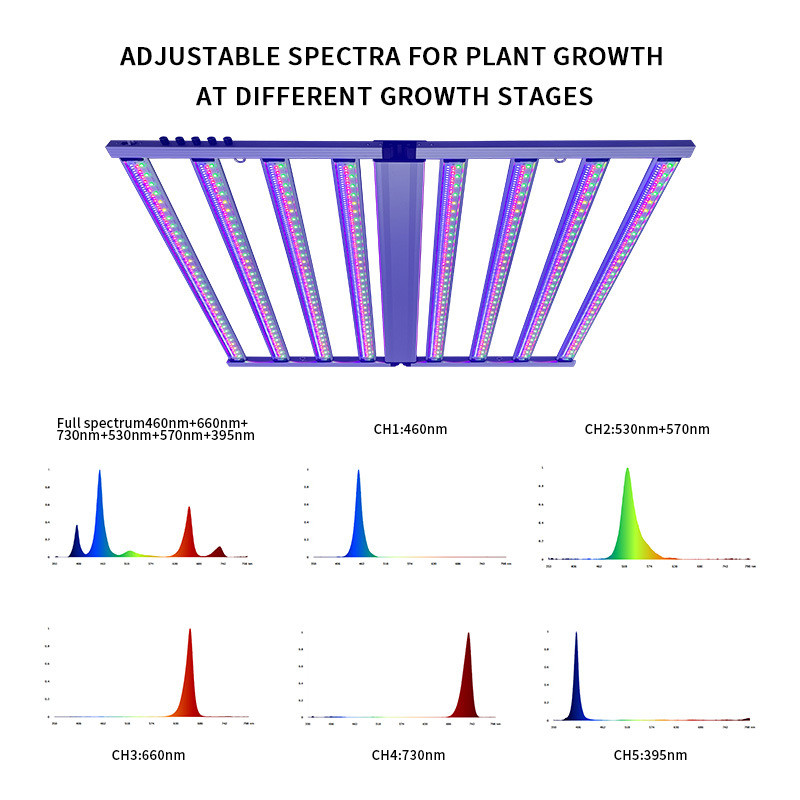 Five-way Dim Samsung LM301H Plant Lighting Full Spectrum 8 Bar 800W LED Grow Lights for Horticultural