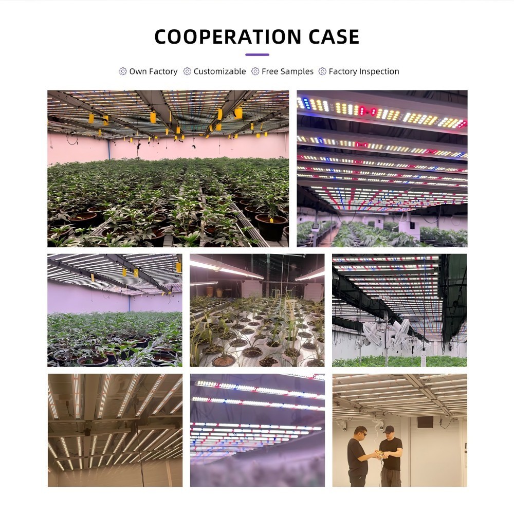 4x6ft 12 Bar 1200W Plant LED Grow Light Fixture , Folding LED Grow Light Full Spectrum