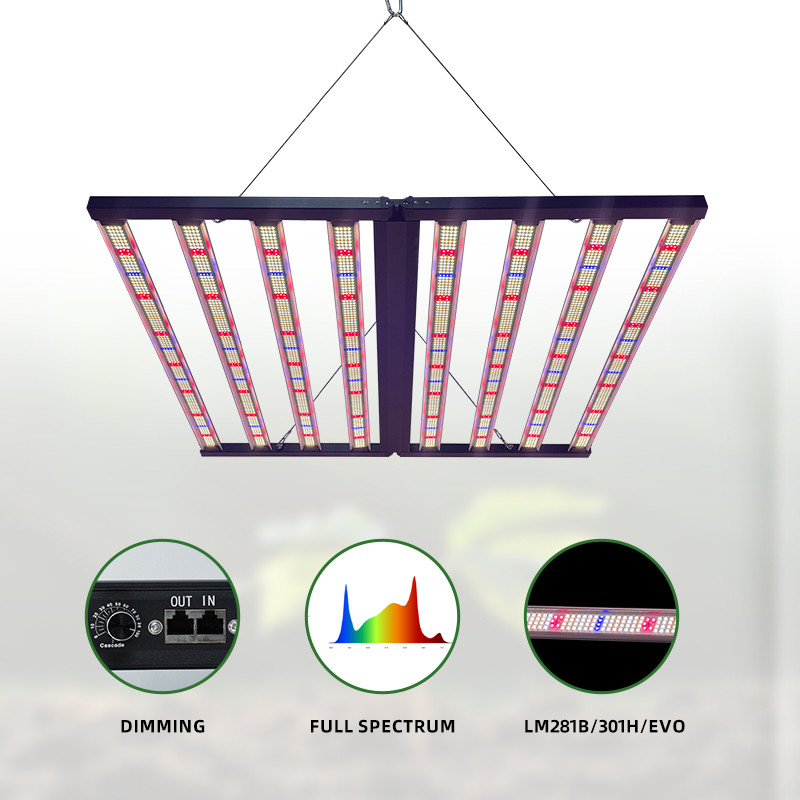 8bar 800W Led Grow Light Full Spectrum Customized Vertical Farm Commercial 110V 220V Dimmable Plant Growth Lamp