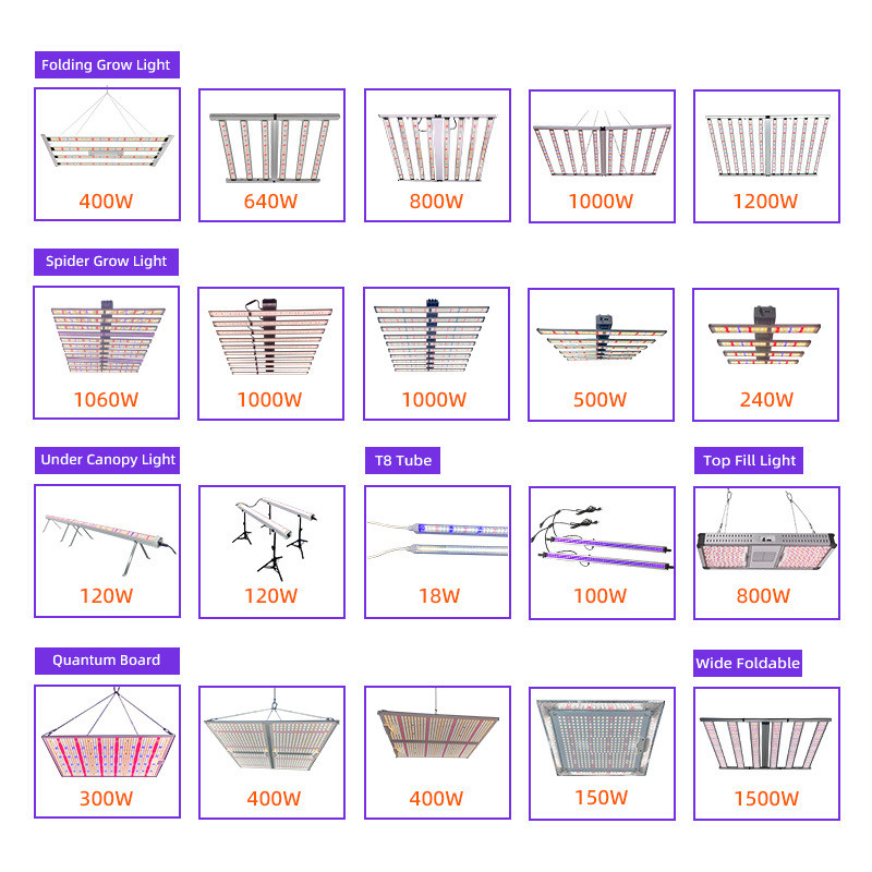 ANDY 800W Led Plant Grow Light Full Spectrum Commercial Dimmable Samusng Lm301h Lm281b for Veg Flower