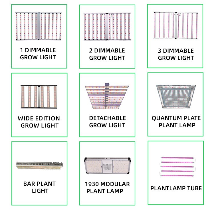 Full Spectrum Horticultural Light 12 Bar Greenhouse LED Grow Lights 1200W