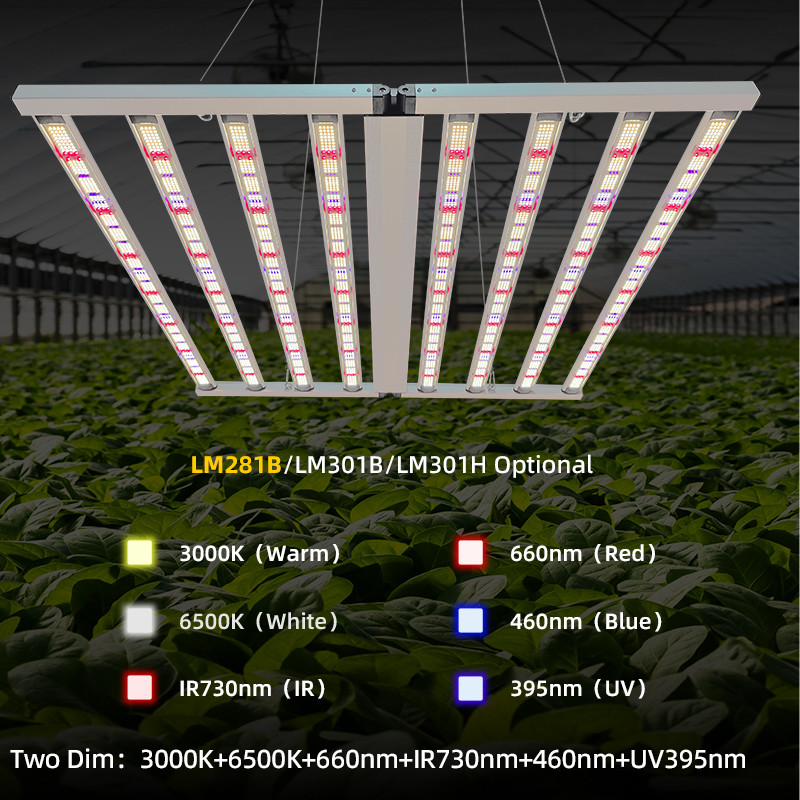 Commercial High Power LED Grow Lamp Full Spectrum Ultraviolet LED Grow Light 900W