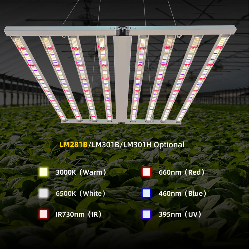 4x4ft LED Agricultural Grow Lights 900W Industrial Indoor UV IR LED Grow Light