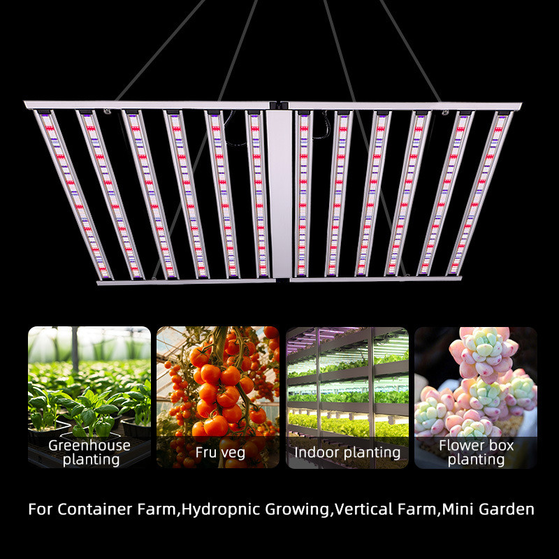Commercial Full Spectrum Two Way Dimmable UV IR 4x6ft 12 Bar 1300 Watt Led Grow Plant Light for Greenhouse Indoor Farming