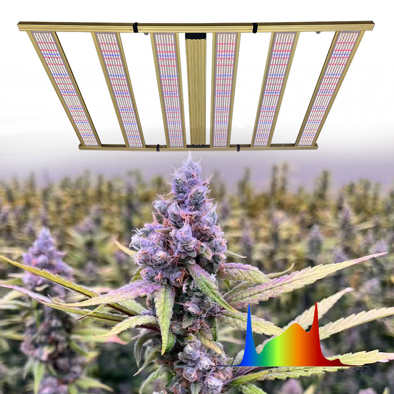 Commercial Greenhouse LED Grow Lights 1200W Full Spectrum Grow Lights For Indoor Plants