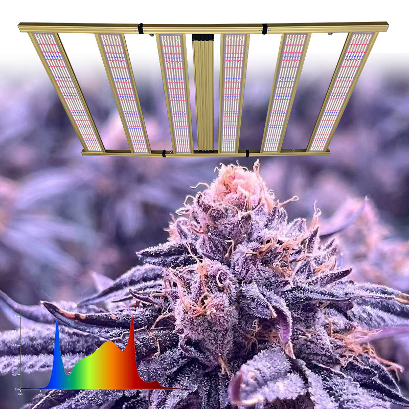 Commercial Horticulture LED Grow Lights 1500W Full Spectrum Dimmable LED Grow Lights