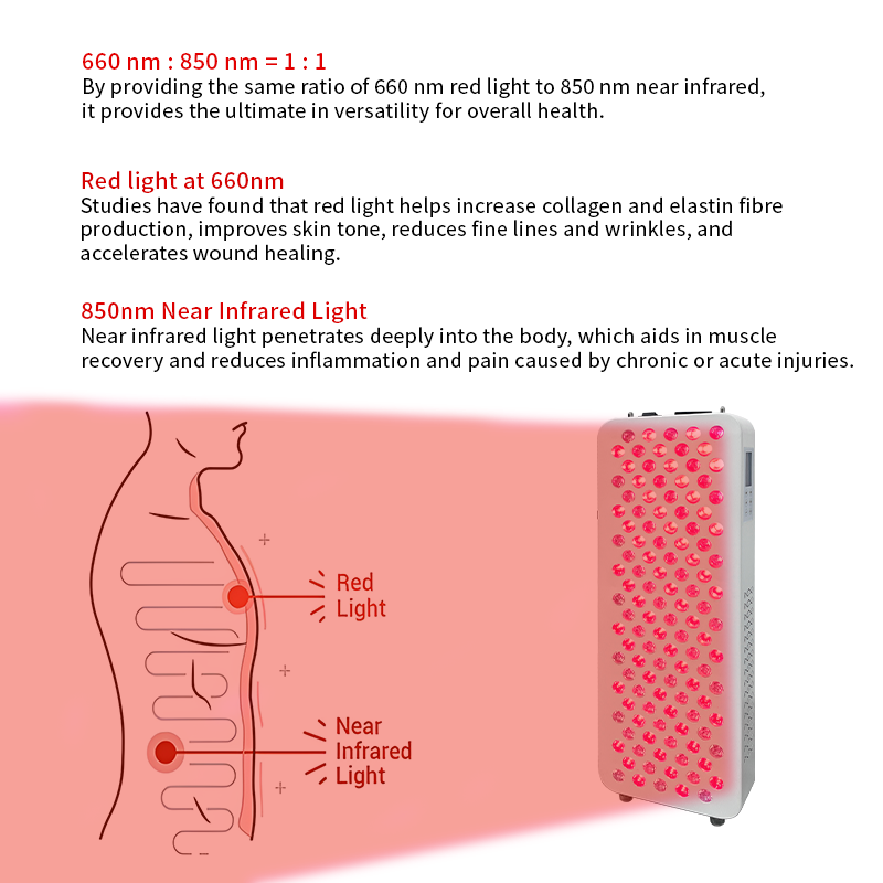 Custom 120 LEDs RED NIR 660nm 850nm Red Light Lamp 600W Led Infrared Red Light Therapy for Face Neck