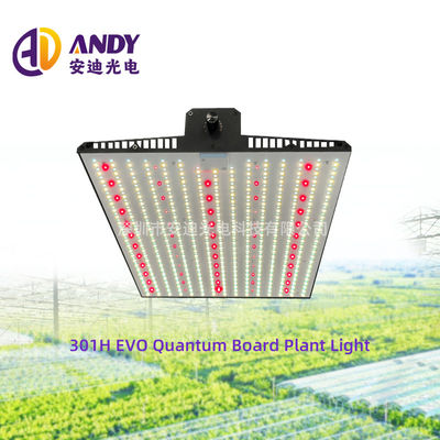 2x2ft 3x3ft Flower Grow Light Full Spectrum Veg And Bloom LED Grow Light