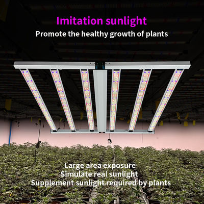 650W Full Spectrum Foldable LED Grow Light con 1950 μmol/s PPF e 3,0 μmol/J PPE per Veg Bloom